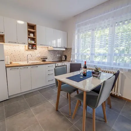 Apartment Danube Lux Novi Sad
